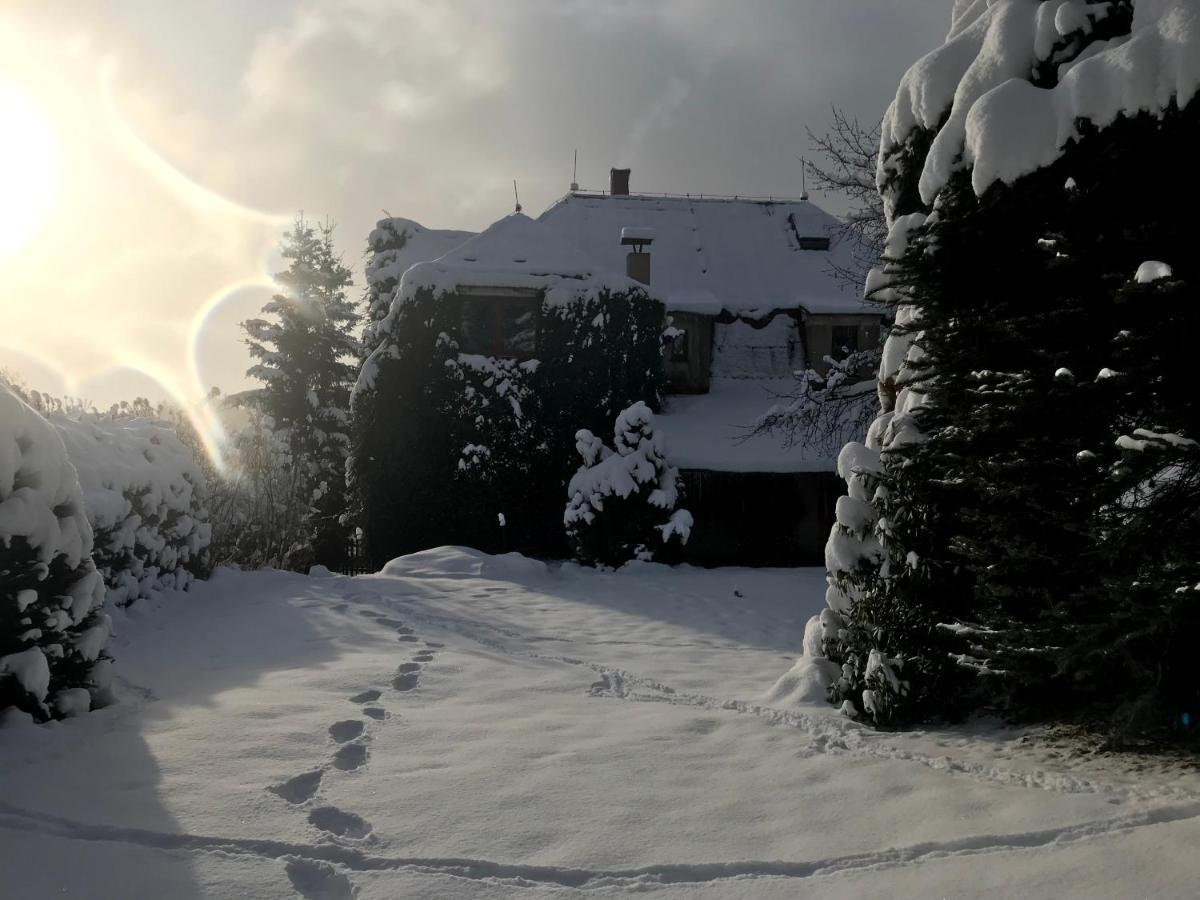 Apartman Rekys Jiretin pod Bukovou Exterior foto